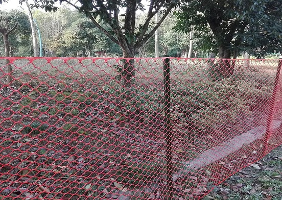 Sind Geflügelnetze aus Kunststoff die ideale Lösung für Geflügelzüchter?